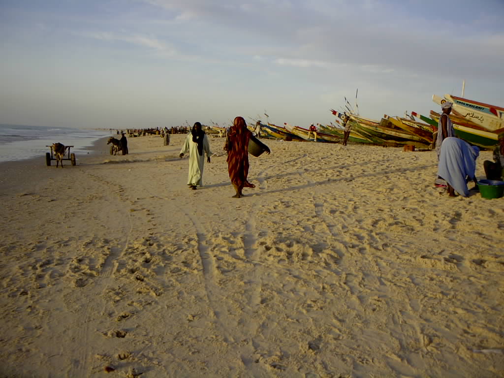 NouakchottFishboats.jpg